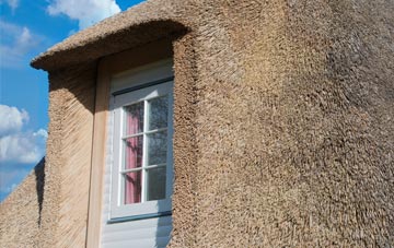 Drumsturdy thatch roof disadvantages